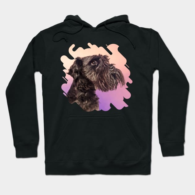 Miniature Schnauzer Hoodie by Nartissima